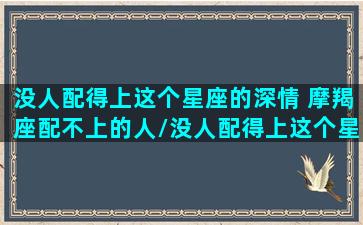 没人配得上这个星座的深情 摩羯座配不上的人/没人配得上这个星座的深情 摩羯座配不上的人-我的网站